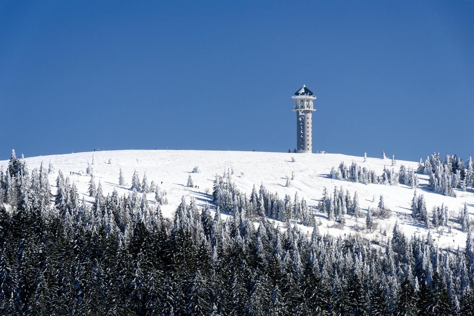 Die besten Tipps für einen unvergesslichen Besuch am Feldberg